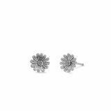 Daisy Flower Stud Earrings with Oxidized Finish