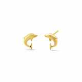 Boma Jewelry Earrings Dolphin Studs