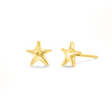 Boma Jewelry Starfish Studs