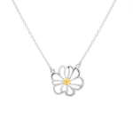 Boma Jewelry Necklaces Daisy Flower Necklace with 14K Gold